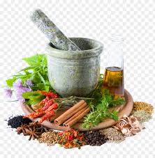 Herbal Store